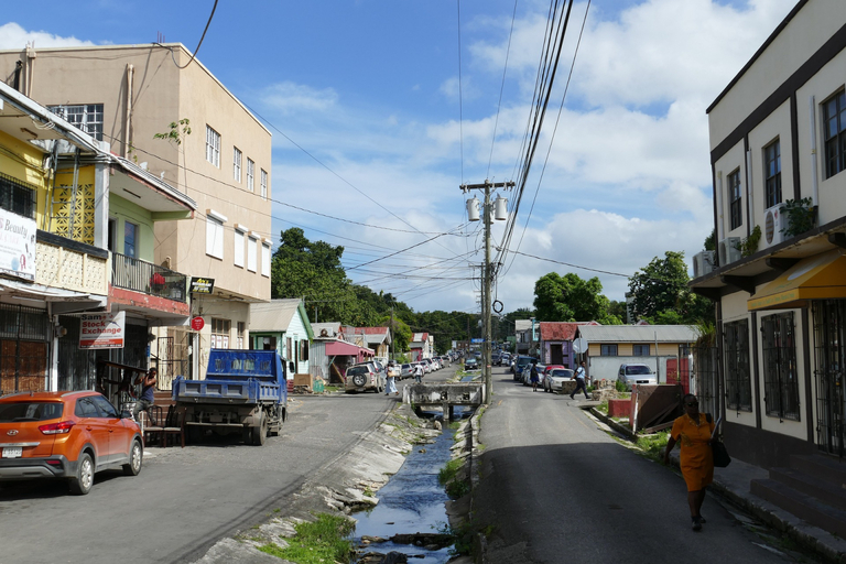 Antigua: Shore Excursion with Shirley Heights & Rum Tasting