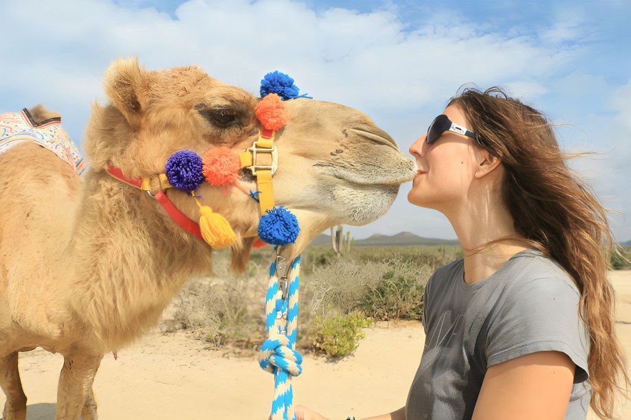 Explore Los Cabos on Camelback in Mexico