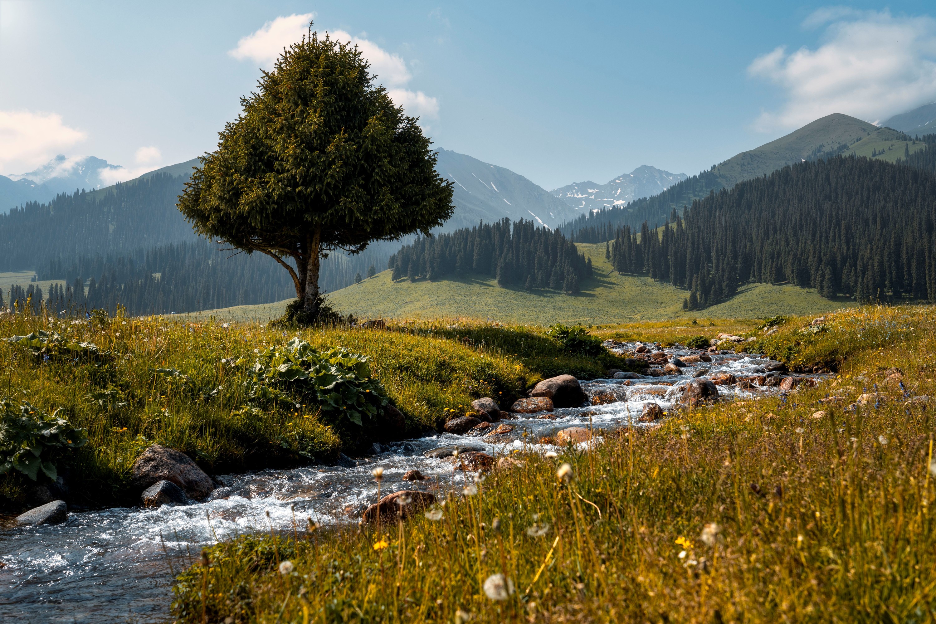 9-day, 8-night summer itinerary in Northern Xinjiang, including Kanas and Yili (2 nights in scenic area + traversing the Duku Highway)