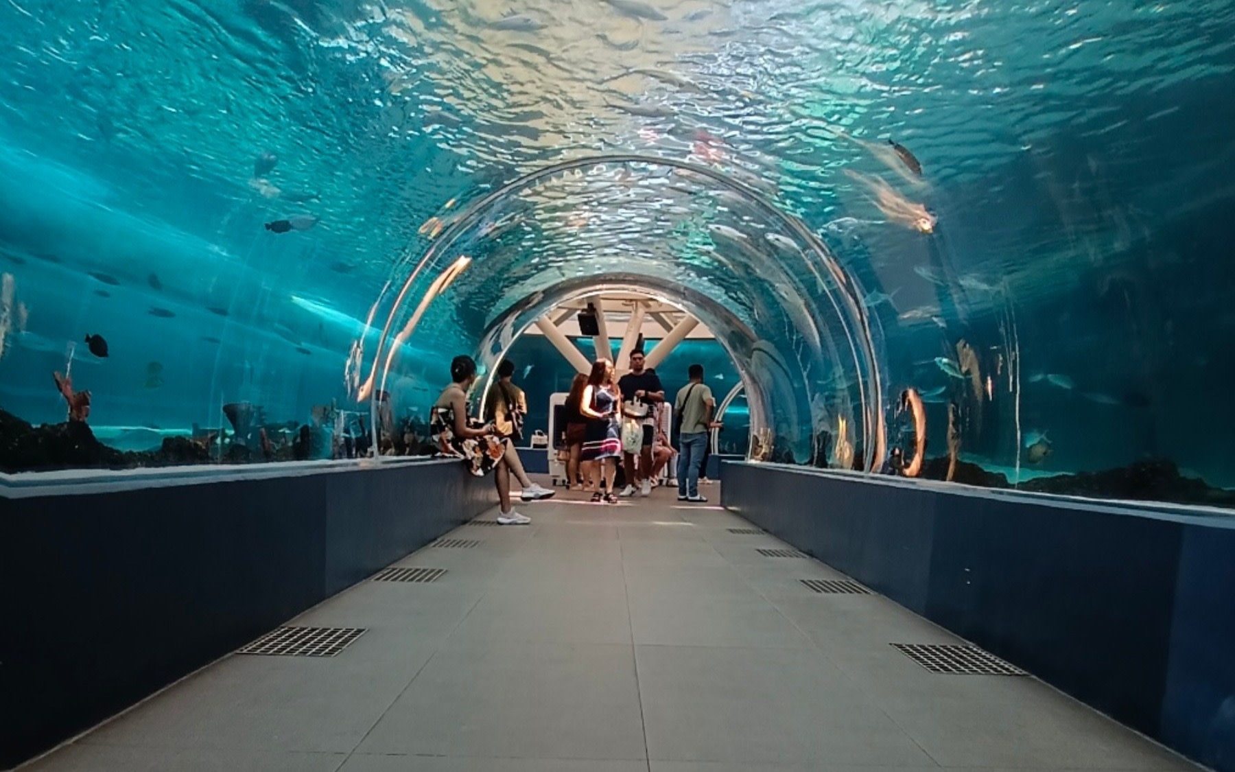 Anjo World Theme Park and Cebu Ocean Park Day Tour