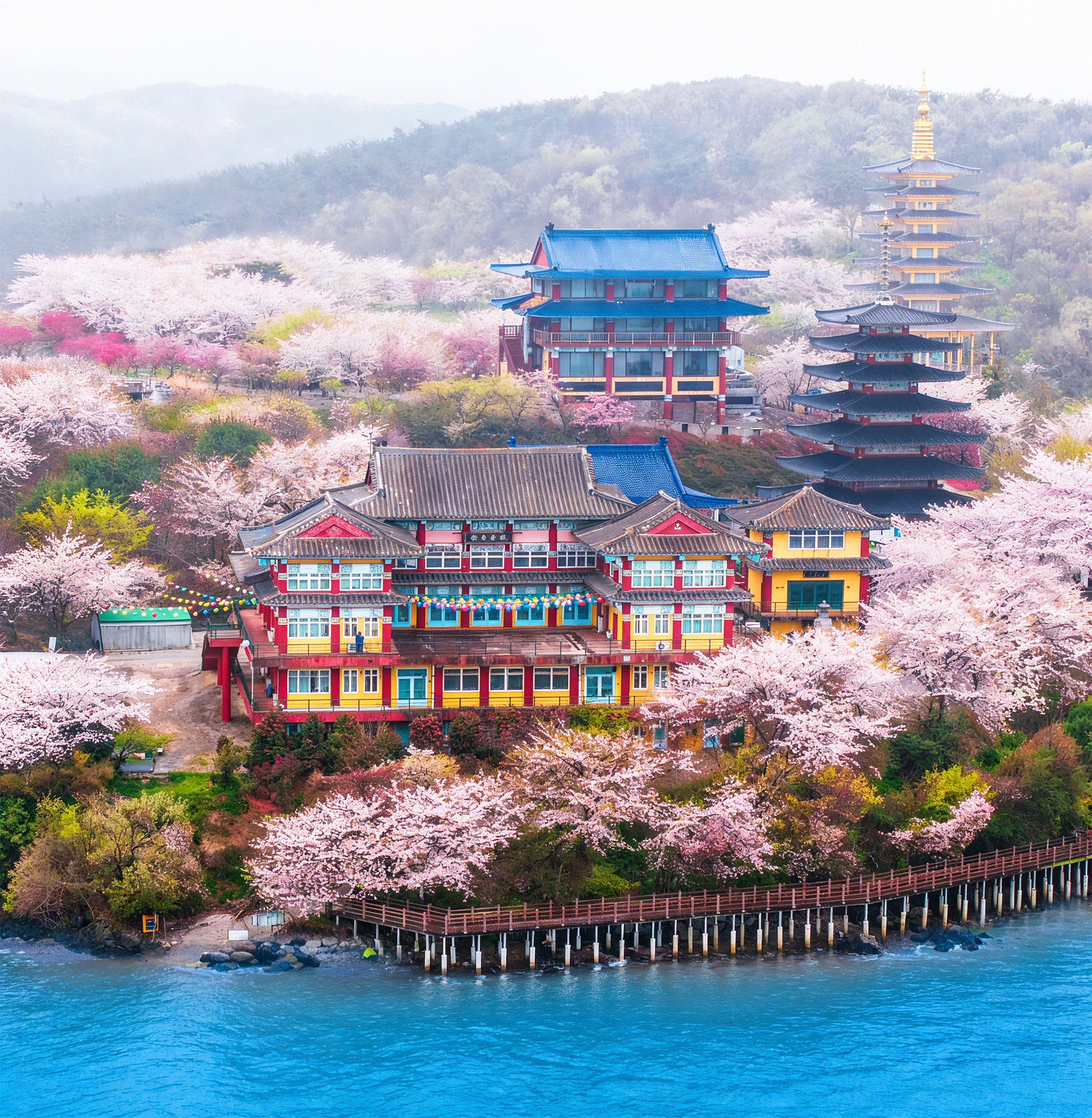 Cherry Blossom One Day Tour from Seoul: Coastal & Temple Spring View