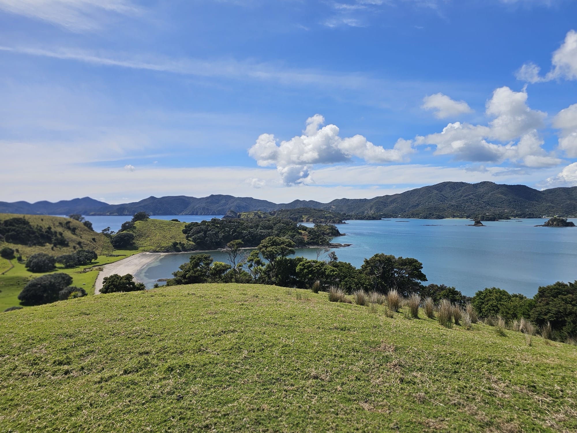  Auckland to Paihia via West Coast Small Group Tour (One Way)