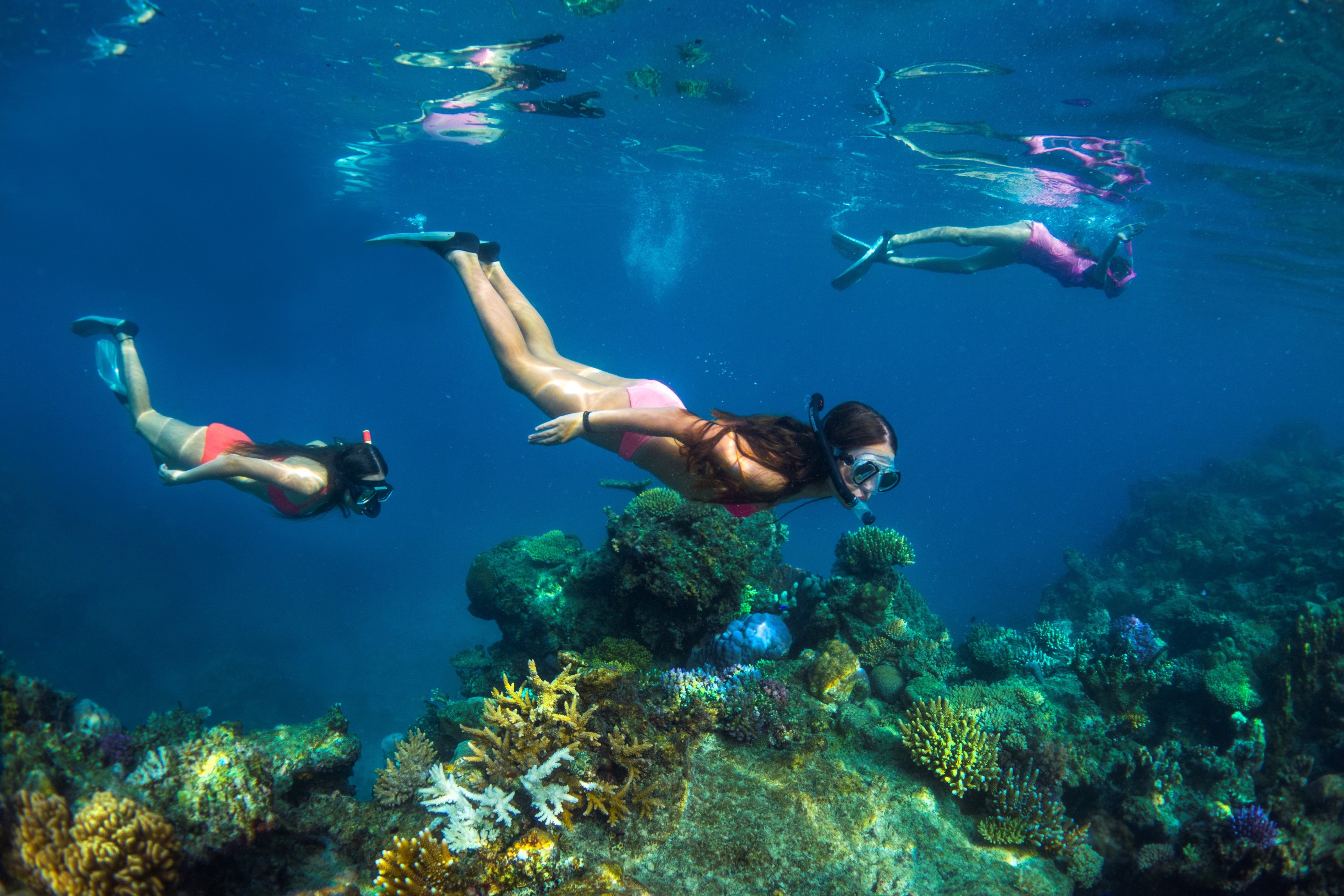 搭乘帆船,盡享精彩浮潛體驗 搭乘帆船,盡享精彩浮潛體驗