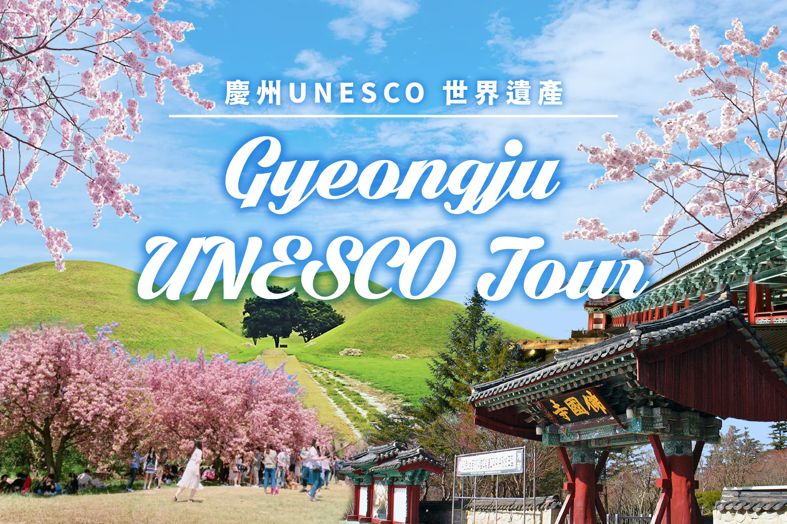 Gyeongju UNESCO - Bulguksa Temple &amp; Cherry Blossom x Nightscape Tour