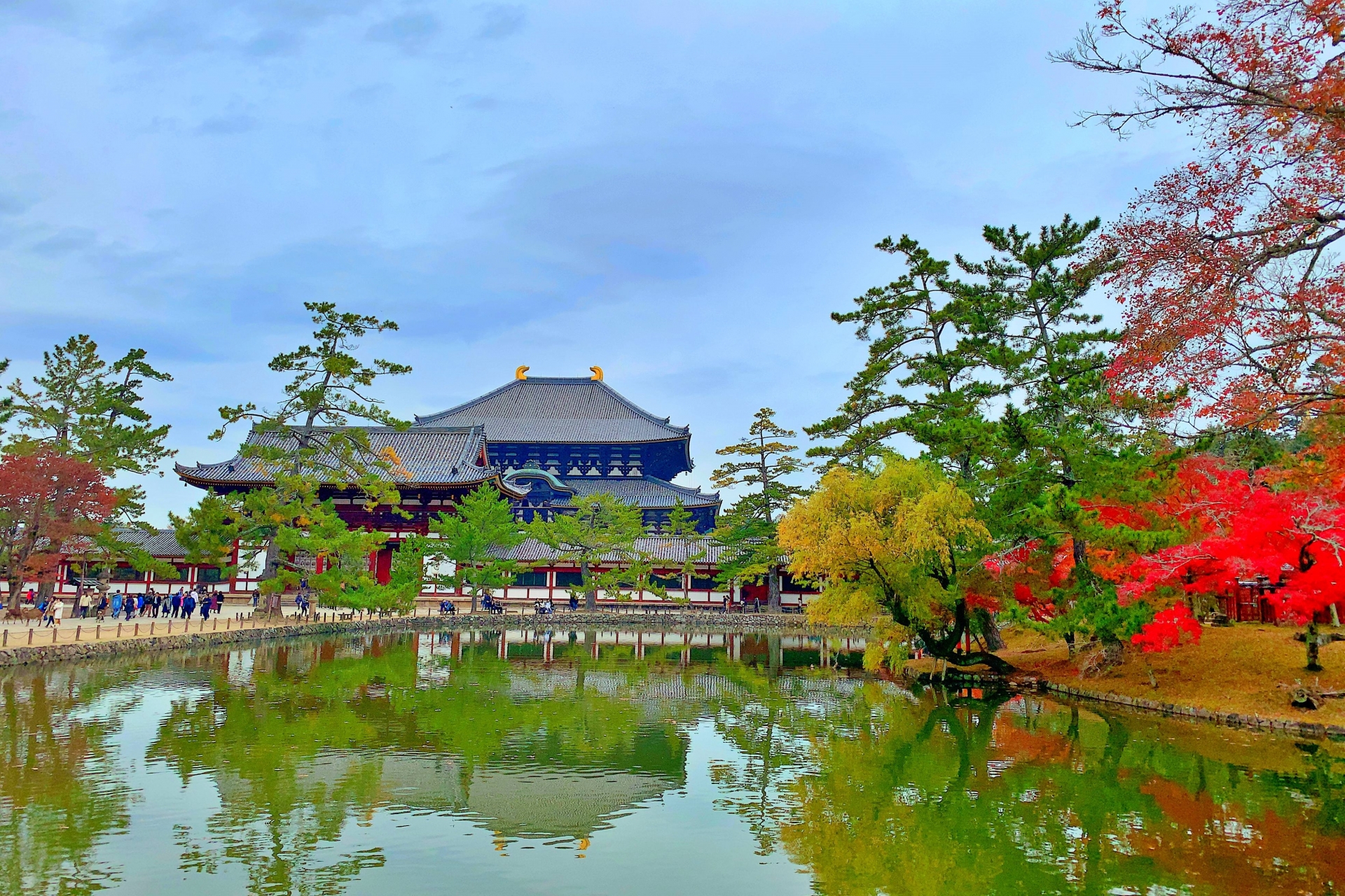 Nara World Heritage PRIVATE TOUR