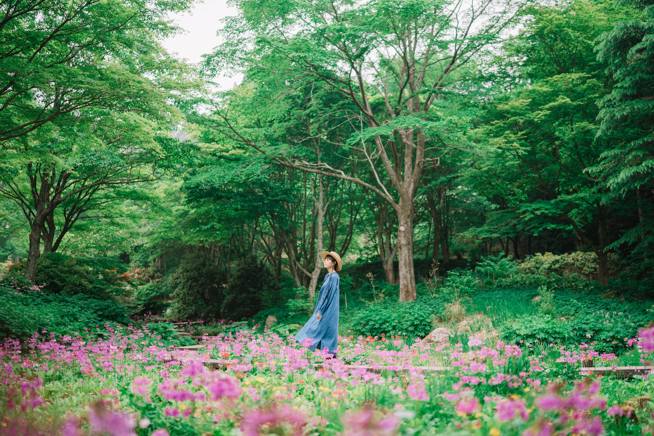 Rokko Alp Botanika Bog‘i