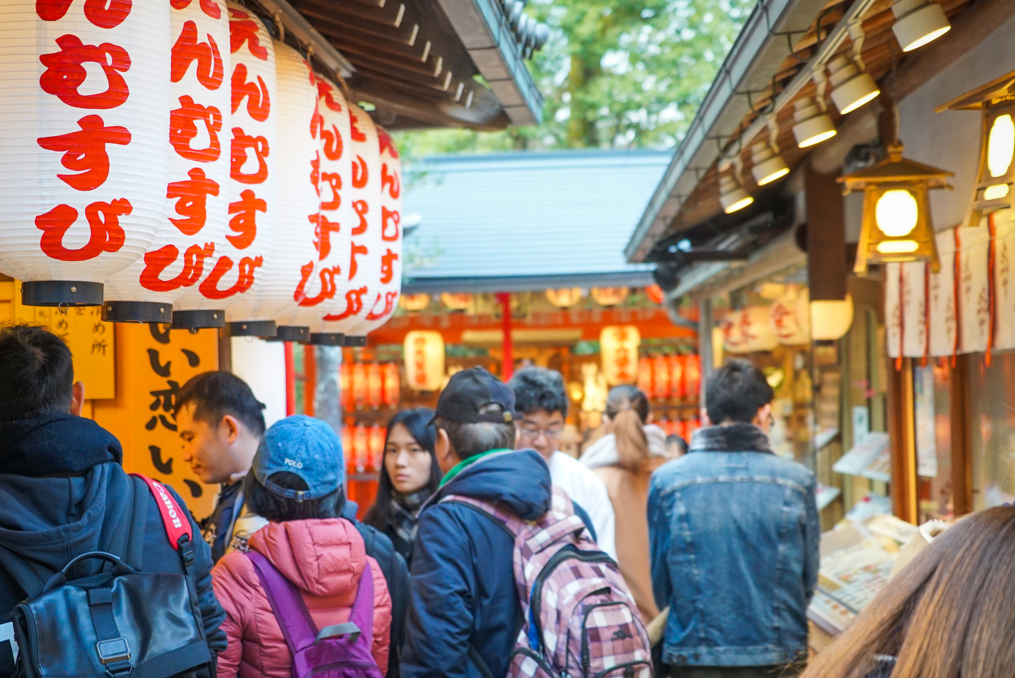 京都茶道 & 清水寺徒步之旅