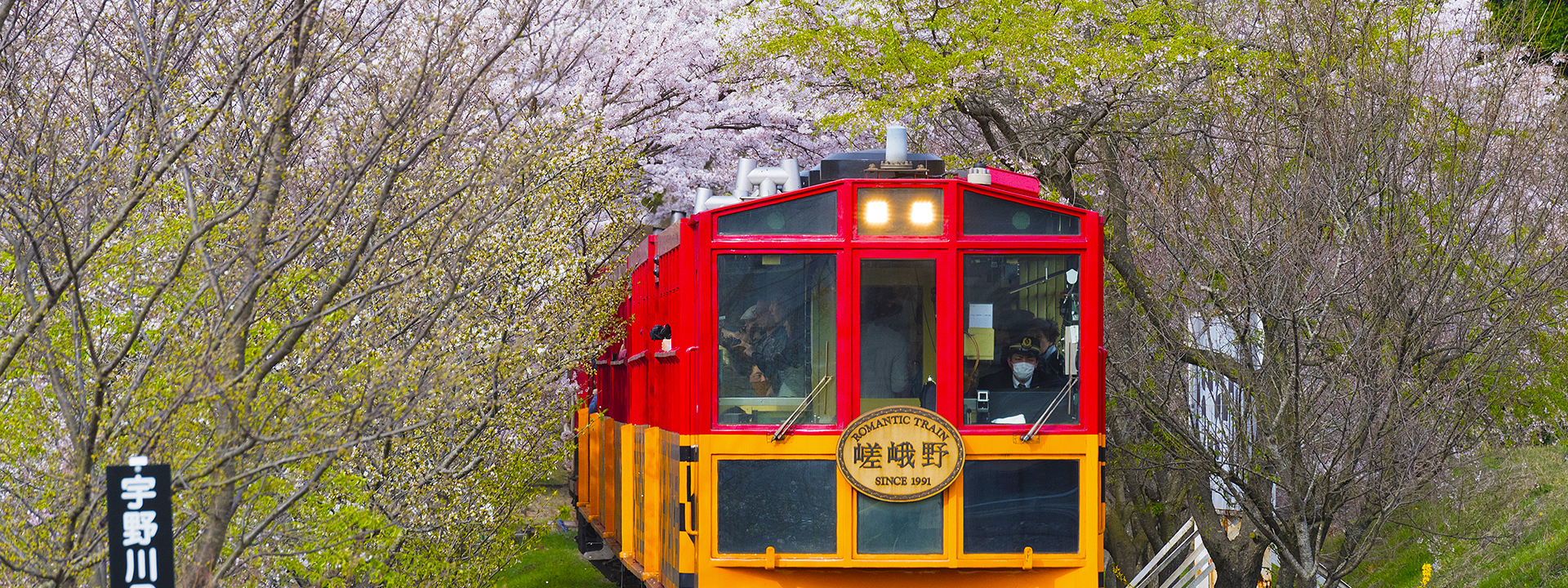 Sagano Romantic Train One Way Ticket