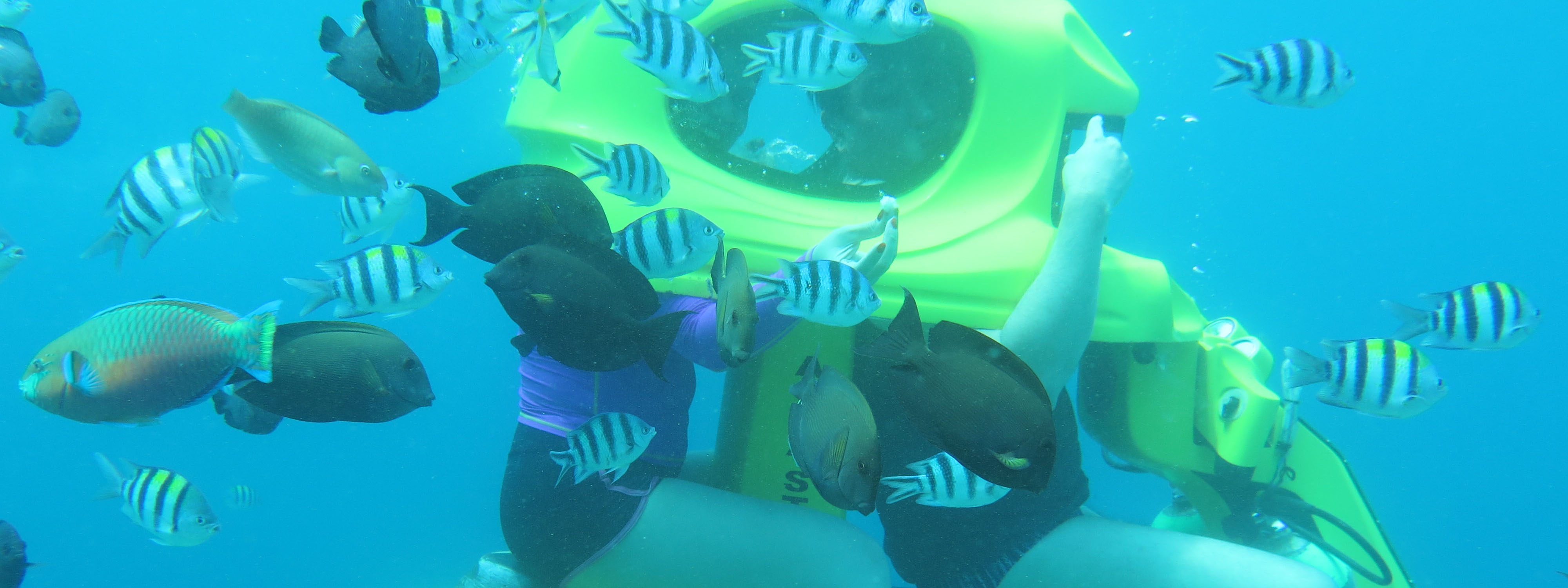 Bali Underwater Scooter