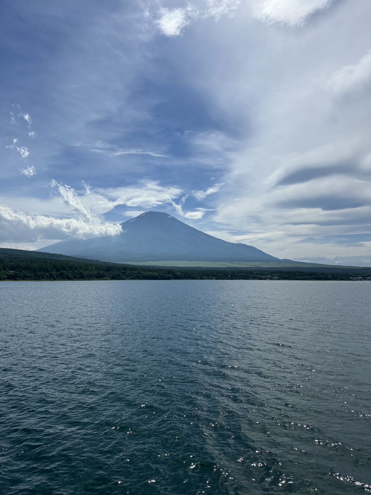 富士山人氣水陸兩用船一日遊｜河口湖大石公園&忍野八海&山中湖KABA BUS河馬水陸兩用遊船（可選）&平野之浜（東京出發）