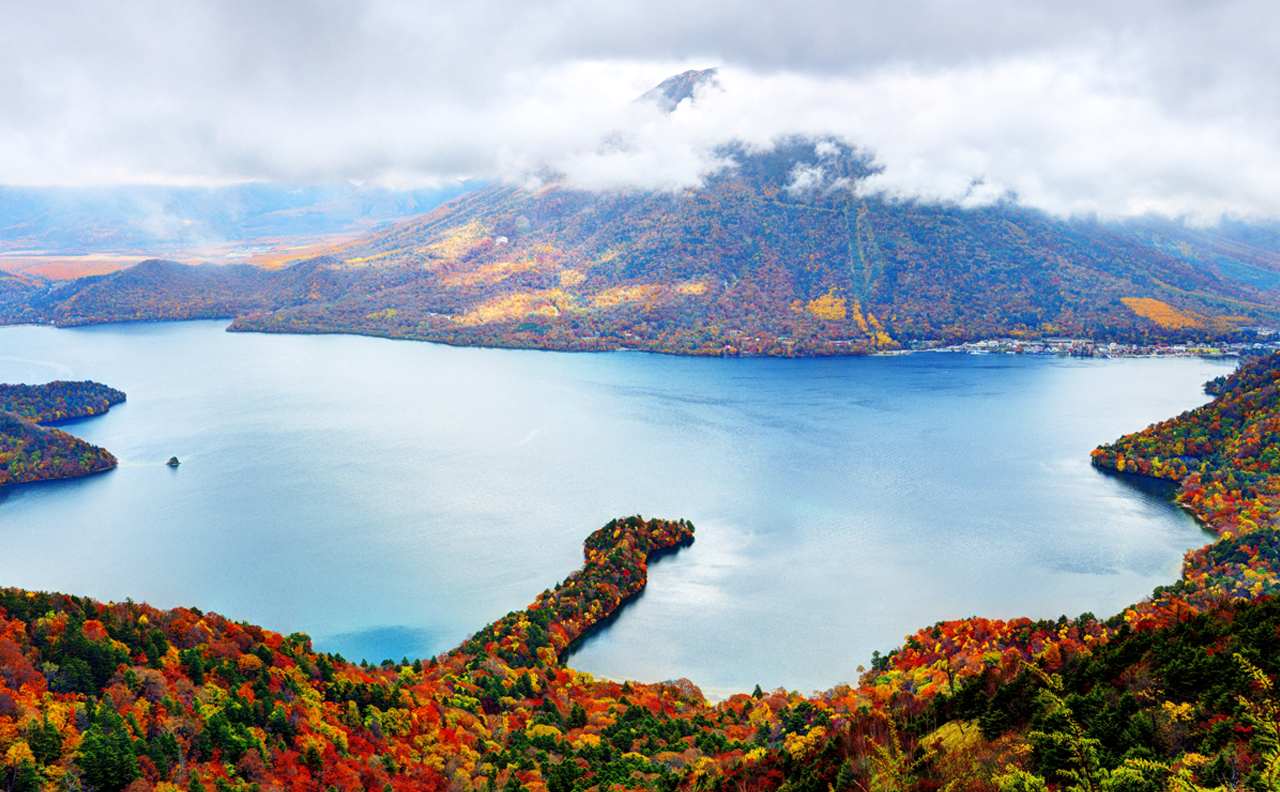 Tochigi and Nikko's secret mountain and water area｜Toshogu Shrine, Iroha Mountain Trail, Lake Chuzenji, and Kegon Falls Day Tour｜Depart from Tokyo/Shinjuku