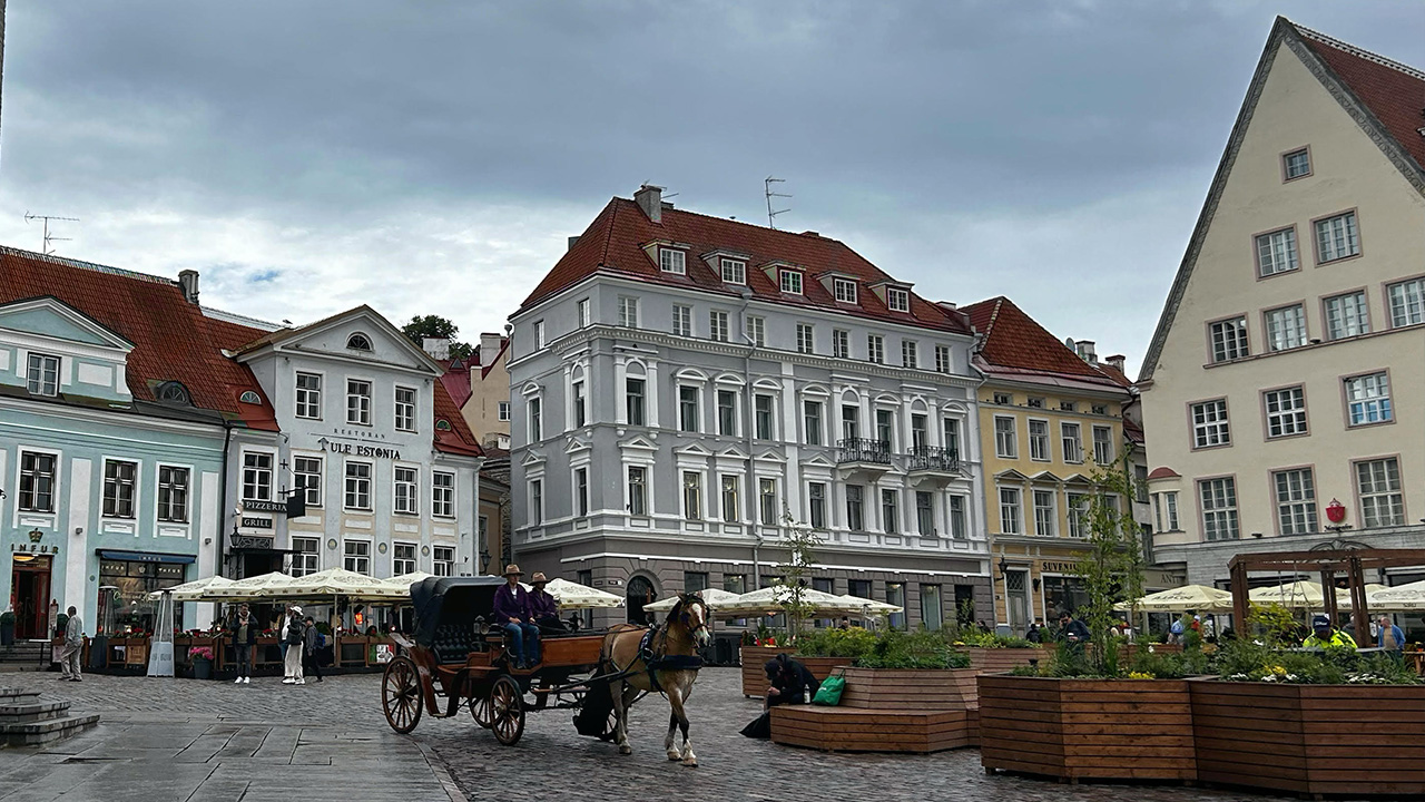 您一定會愛上這裡的氛圍！夏季時，優雅的馬車穿梭於鵝卵石街道；冬季則有迷人的迷你小火車，帶您盡享歡樂。