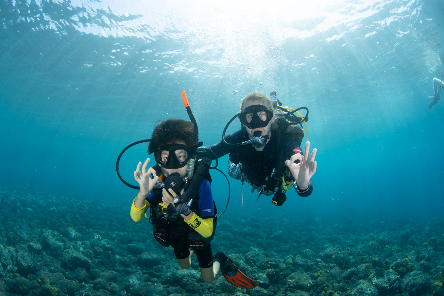 PADIディスカバースキューバダイビング（バリ / PADI 5 Star Dive Resort提供）