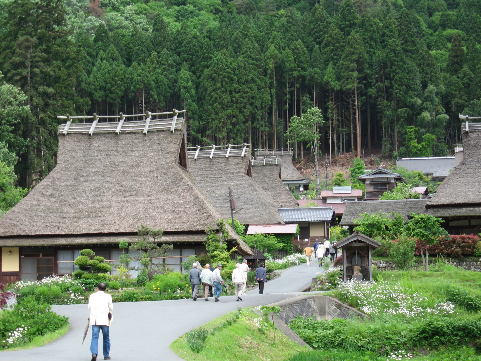 Amanohashidate & Miyama One Day Tour with lunch (from Osaka/Kyoto)