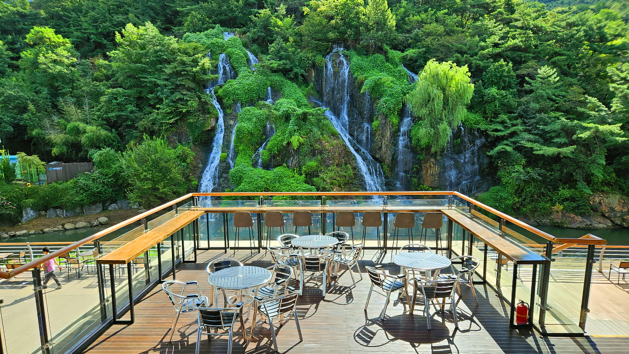 Seoul Cherry Blossom & POKPO Waterfall Cafe One Day Tour