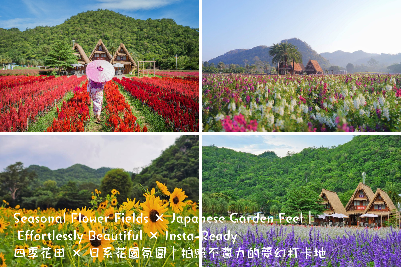 季節花海 × 日式庭園風︱輕鬆拍出絕美 IG 網美照