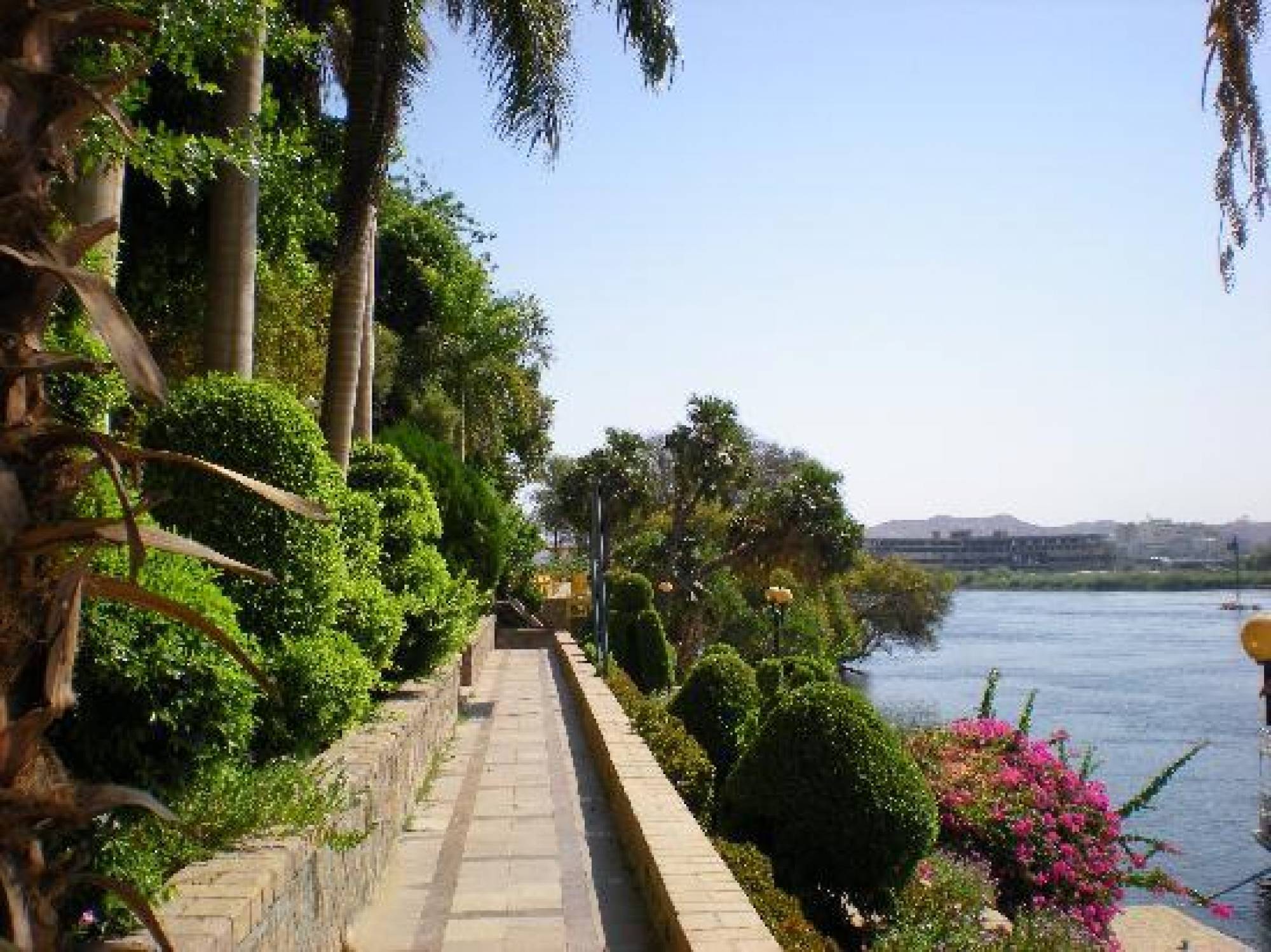 阿斯旺植物園