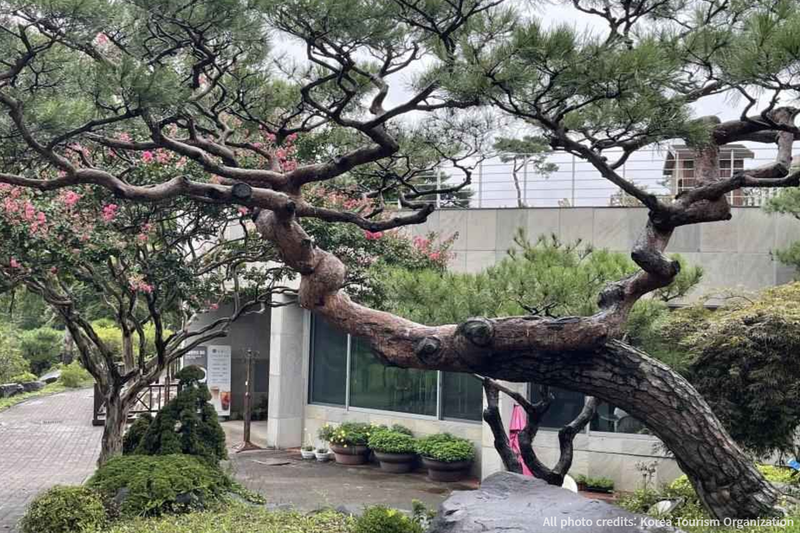 洪城私人包車遊覽