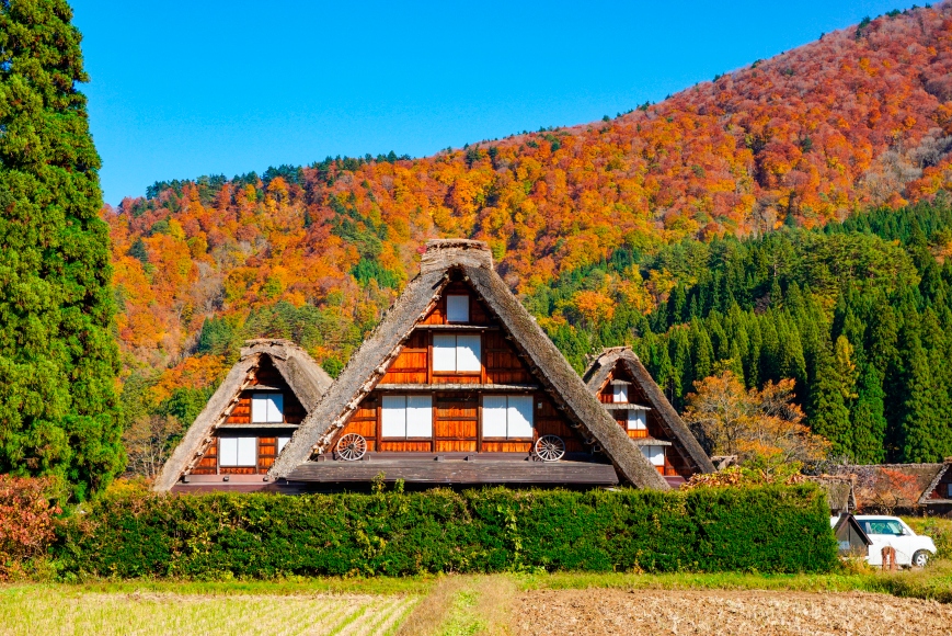 白川鄉 & 南礪村莊之旅（高山出發）