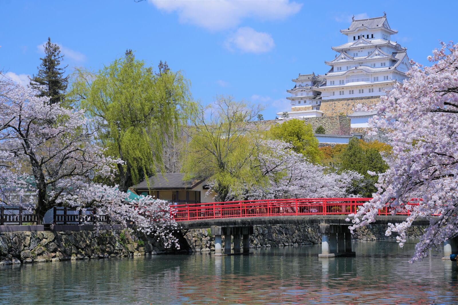 姬路徒步之旅：城堡、花園和藍染