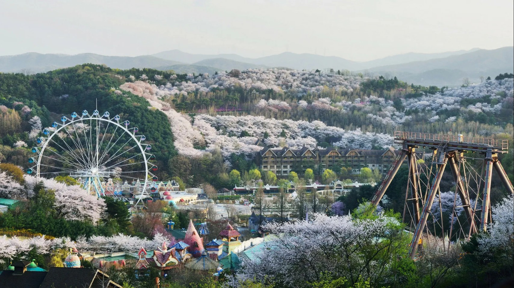 首爾愛寶樂園 (Everland) 夜間導覽，包含所有費用