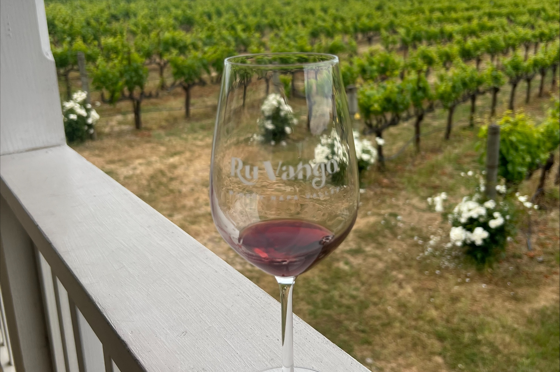 Wine Tasting Tour from San Francisco