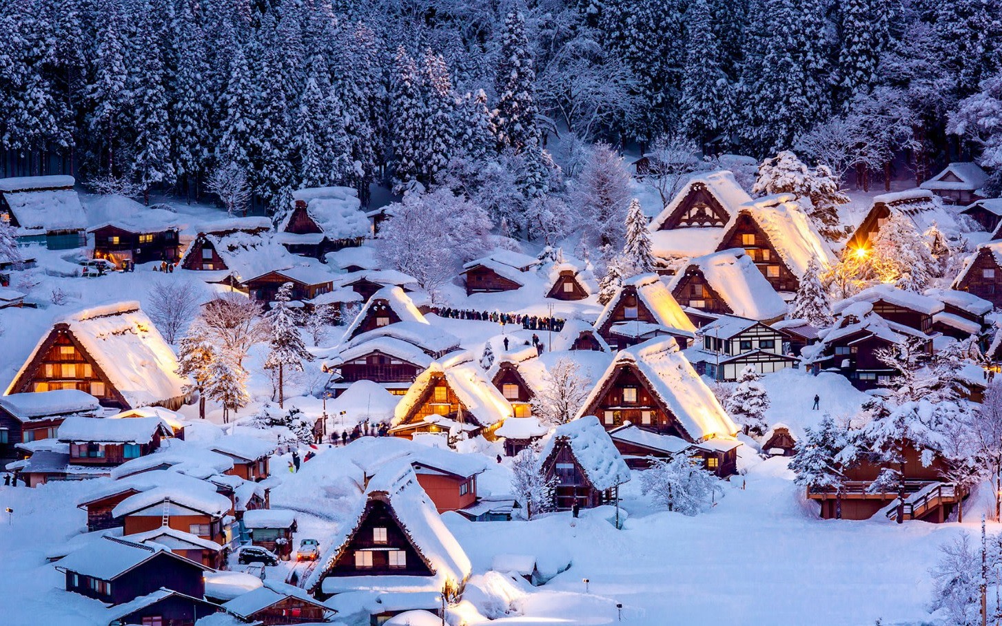 Shirakawa-go Winter Illumination & Hida Takayama Full-Day Tour