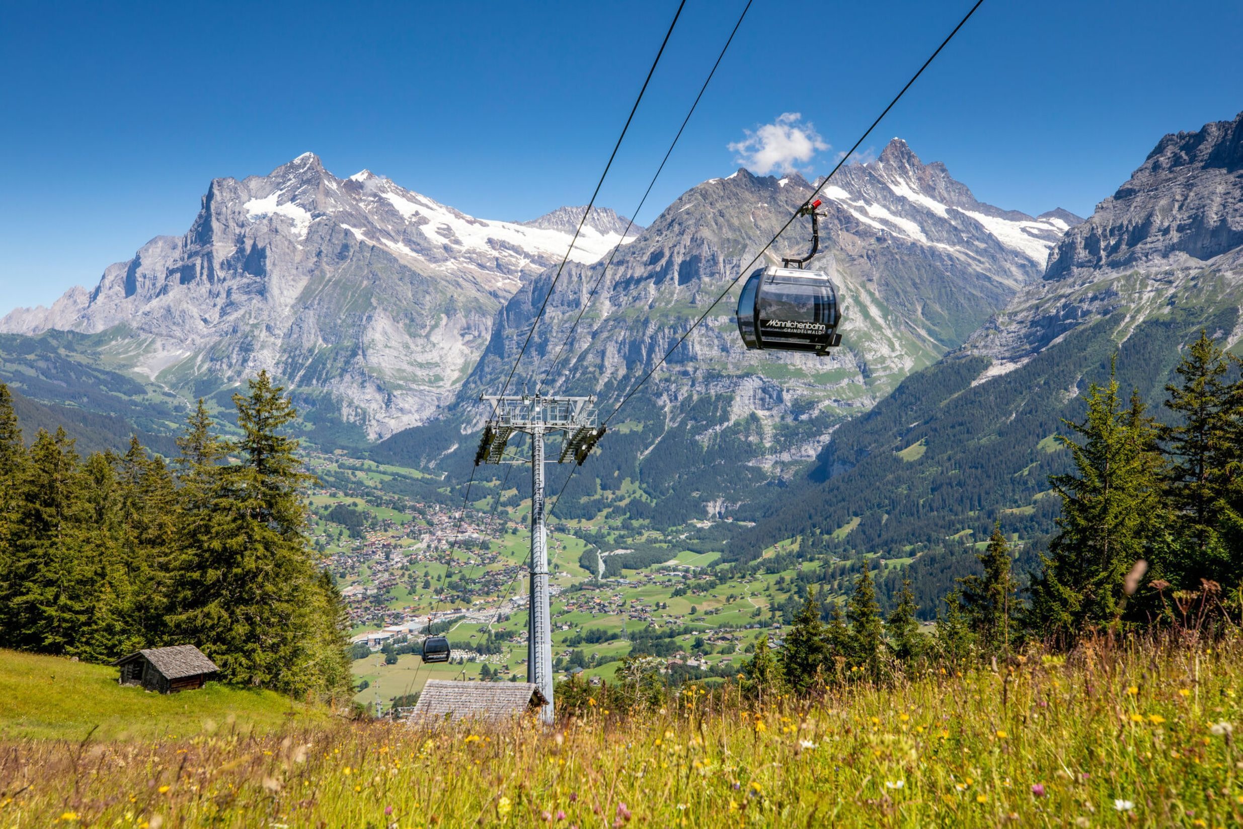 Mannlichen Cable Car Ticket from Grindelwald Terminal
