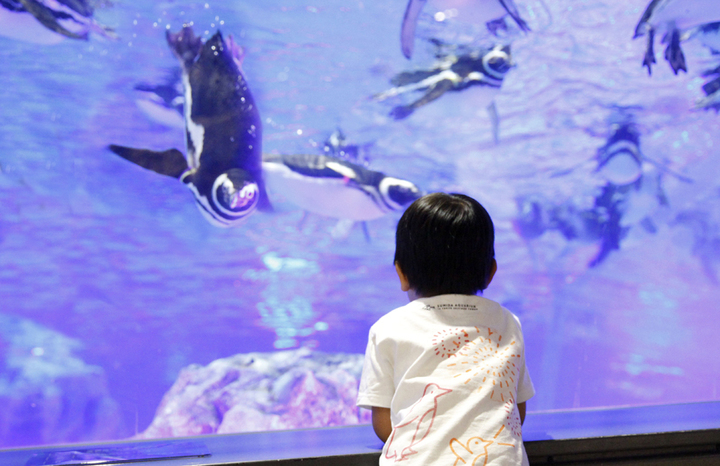 東京墨田水族館門票