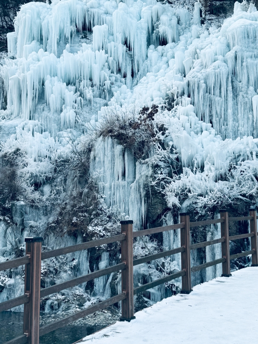 Eobi Ice with Snow Sledding & Strawberry Picking Day Tour from Seoul