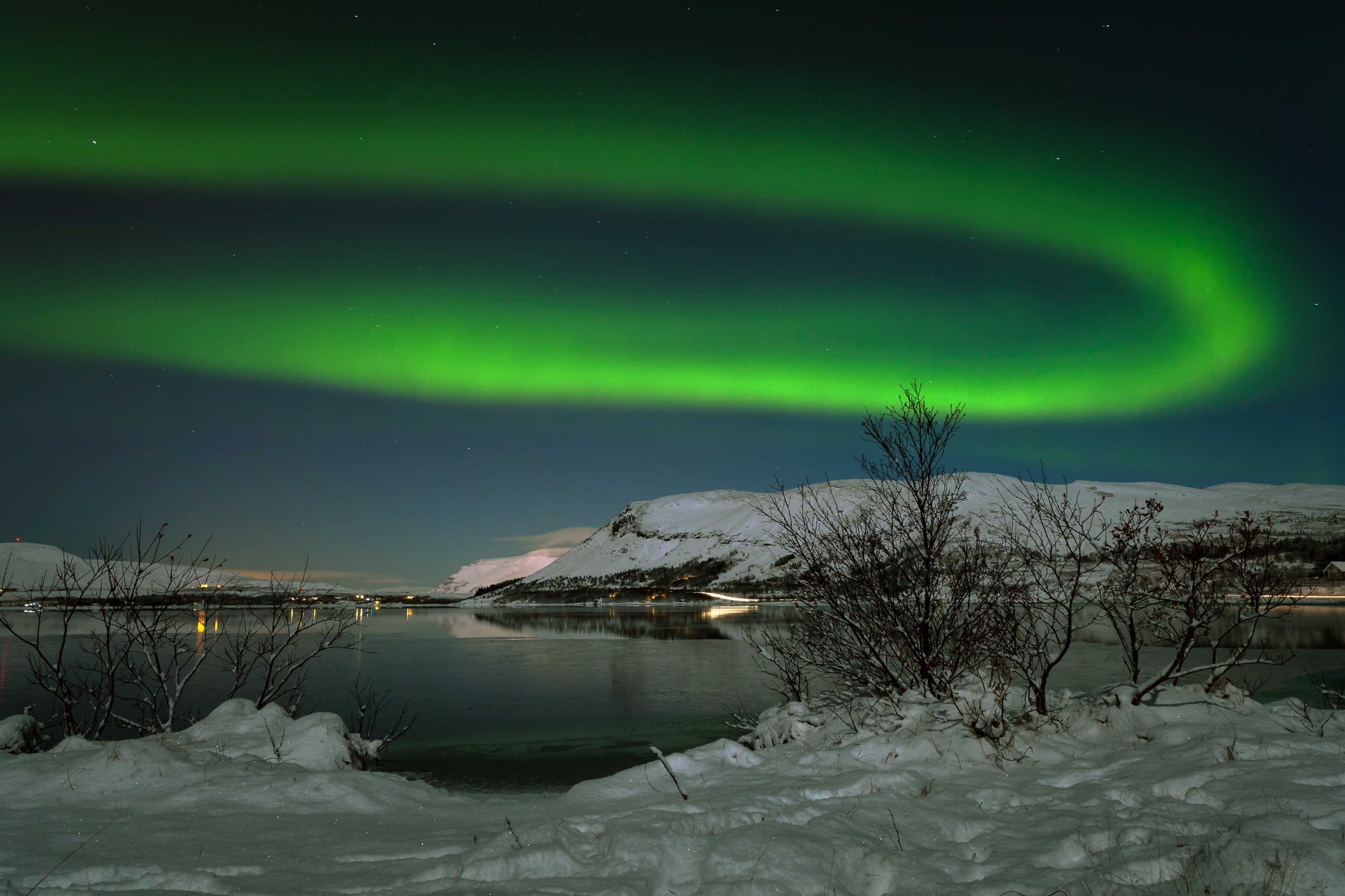 Northern Lights and Stars Bus Tour from Reykjavik