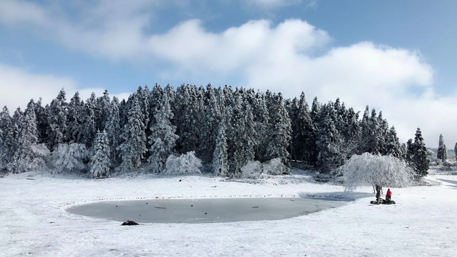 重慶武隆天生三橋+龍水峽地縫/仙女山森林公園一日遊（仙女山冰雪世界，喀斯特地質奇觀，山地草原風光，多團型可選）