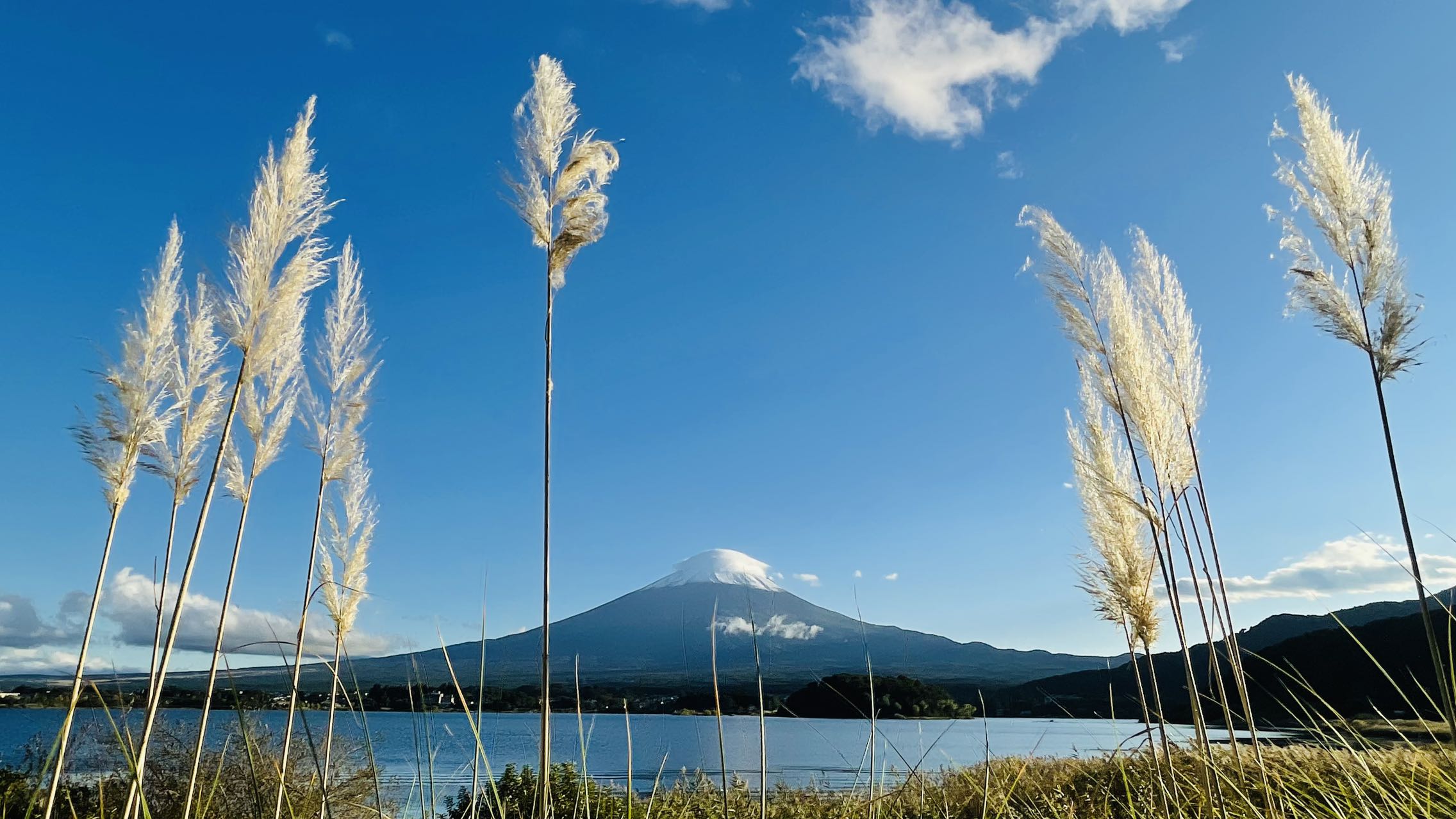 富士山壯麗美景一日遊（東京出發）