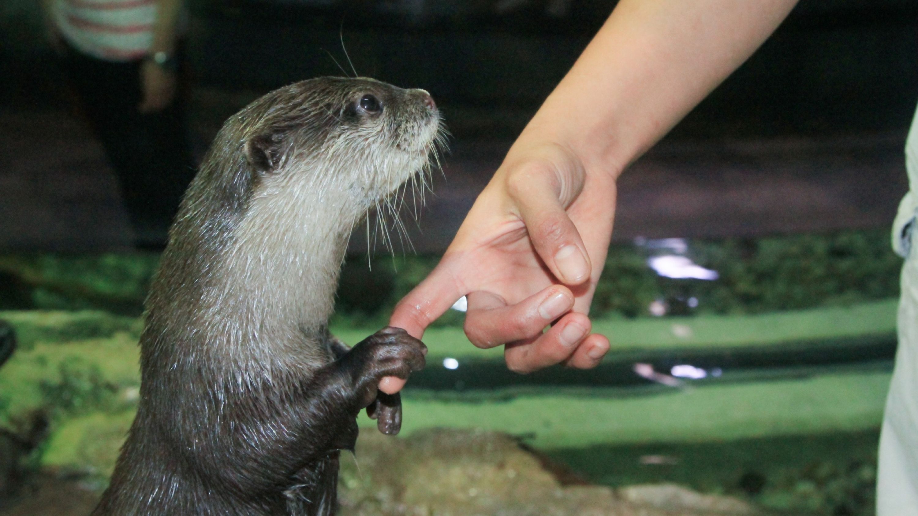 Reaching out to touch the wonders of the deep, an engaging and interactive marine experience