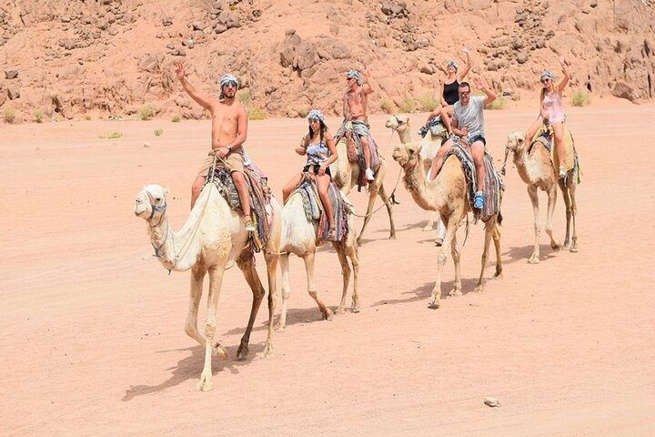 Quad Biking Safari-Camel Ride-Bedouin Dinner and Shows From Sharm