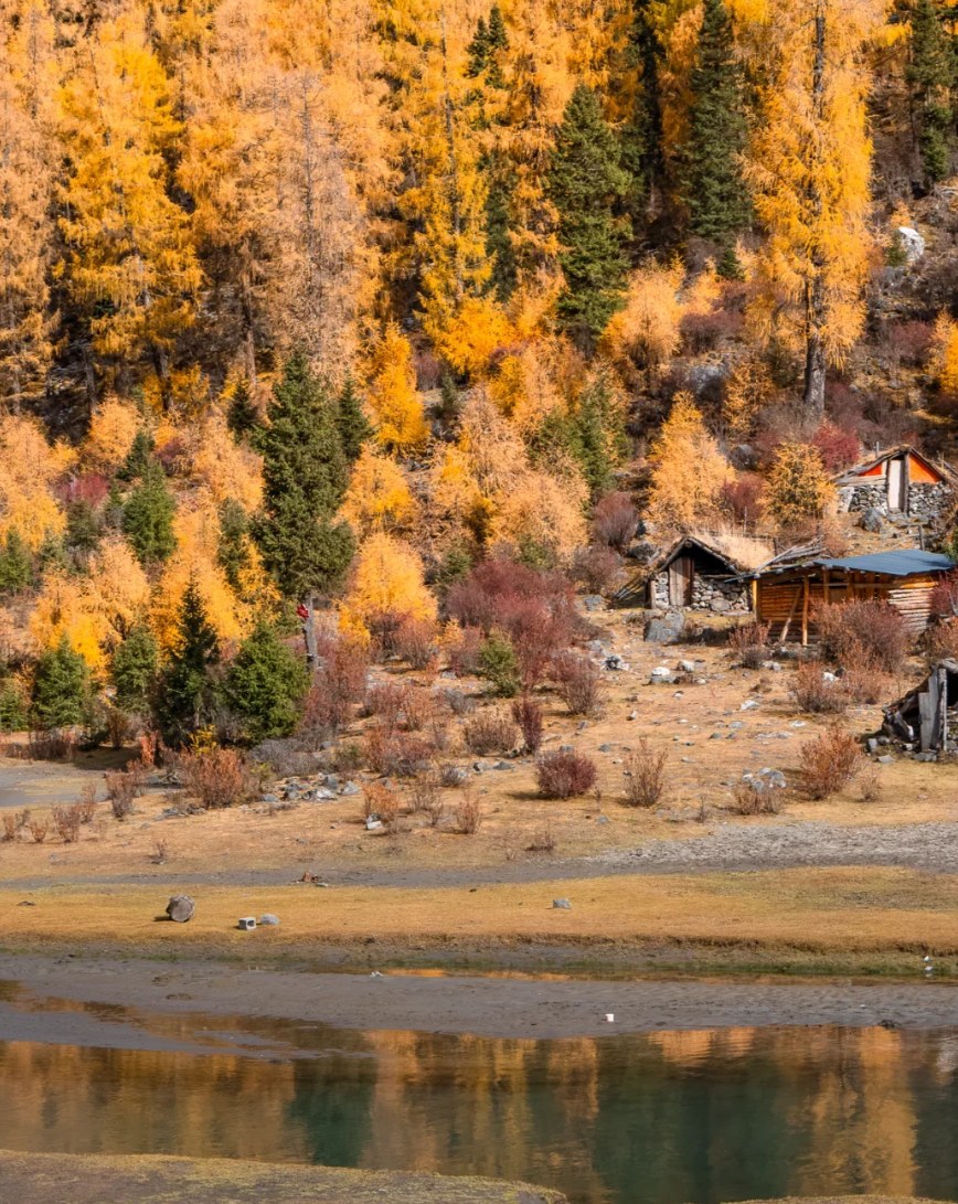 [Li Xiaolu Route] This is a snow-mountain scenic highway in Western Sichuan, with stunning snow mountain views and forests along the way. We will drive and enjoy the scenery along the route. We will pass through Li Xiaolu Route, stopping appropriately alo