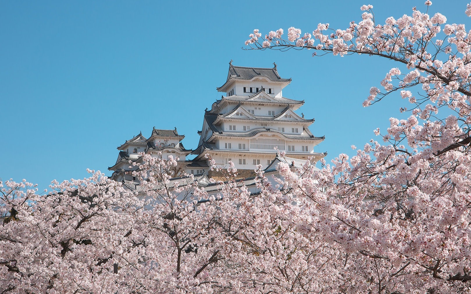 World Heritage Himeji Castle & Akashi Kaikyo Bridge Walking Tour