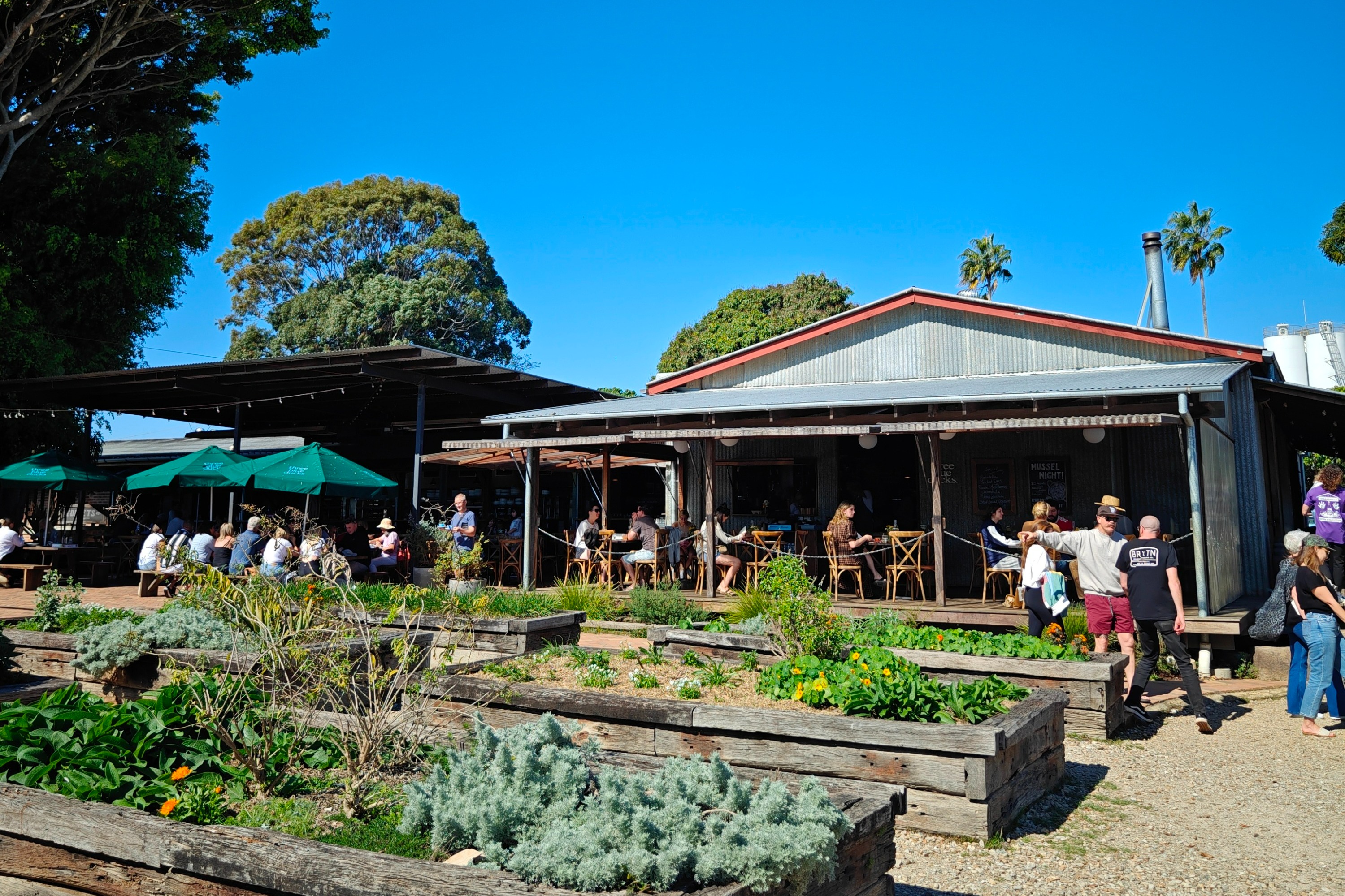 Byron Bay Day Tour with Chinese Speaking Guide