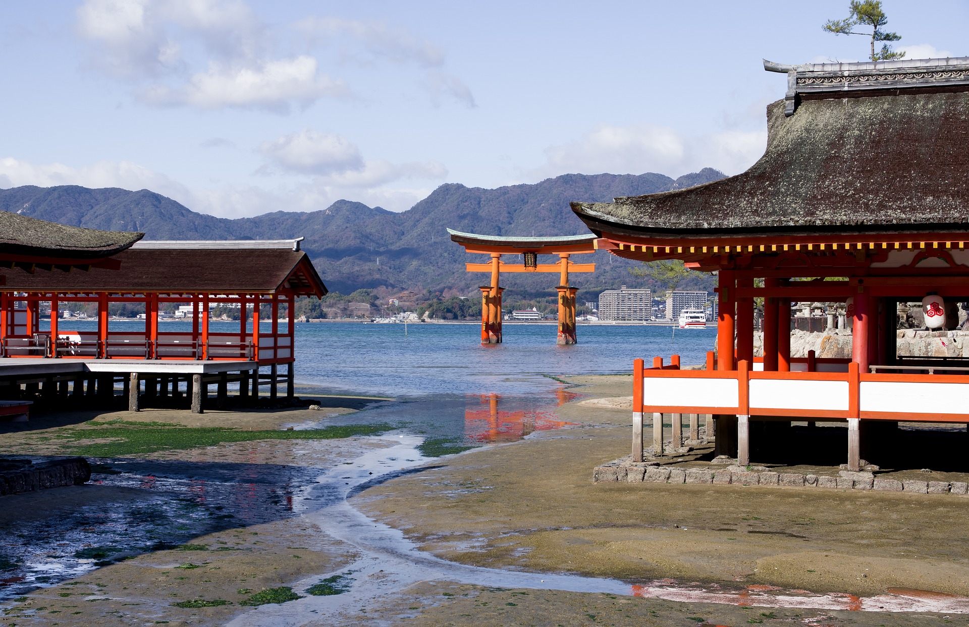 從大阪出發，乘坐新幹線前往廣島和宮島一日遊