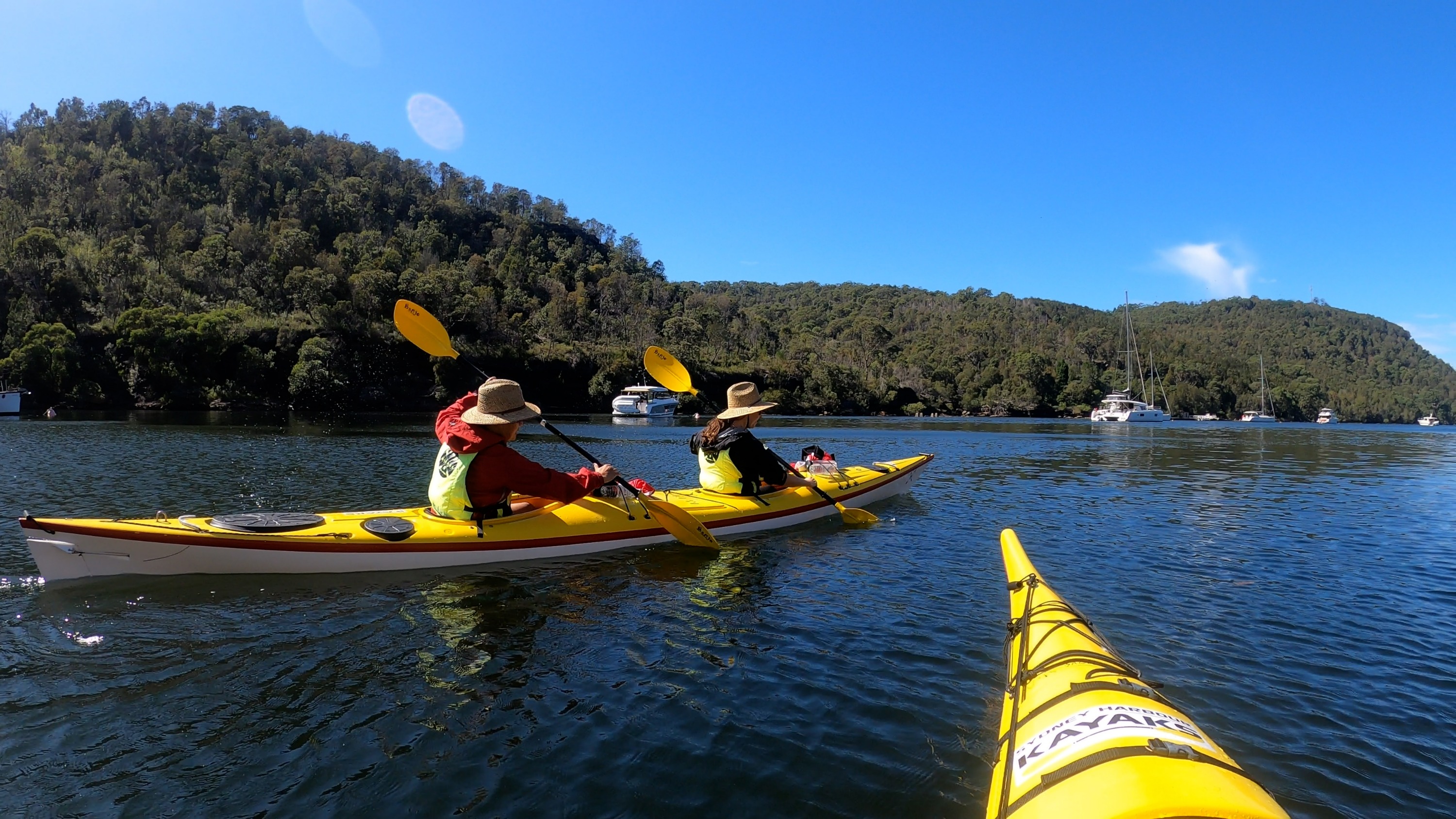雪梨中港皮划艇生態之旅（Sydney Harbour Kayaks提供）