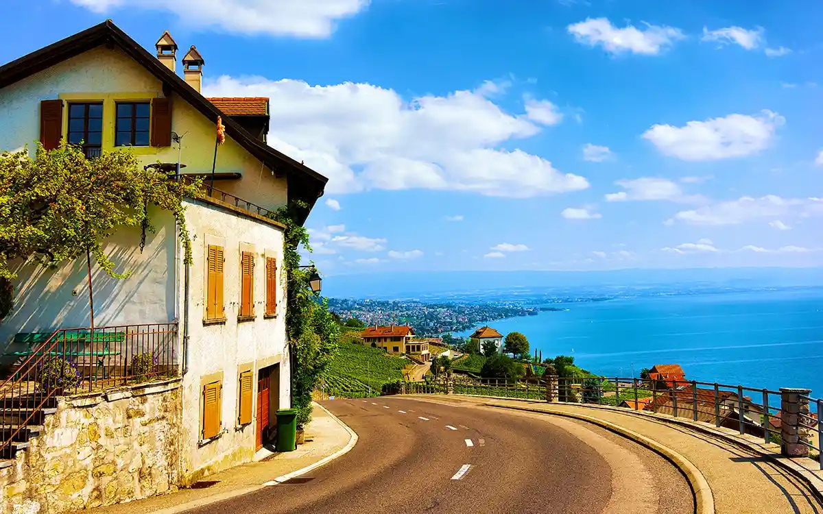 Swiss Wine Tasting in Lavaux Vineyards from Zurich