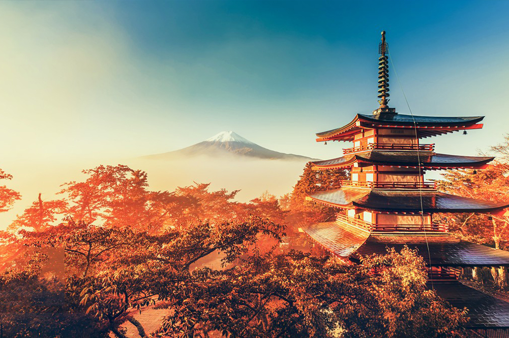 富士山網紅打卡景點&河口湖四季花卉探秘之旅（贈送日式草餅）｜東京/新宿出