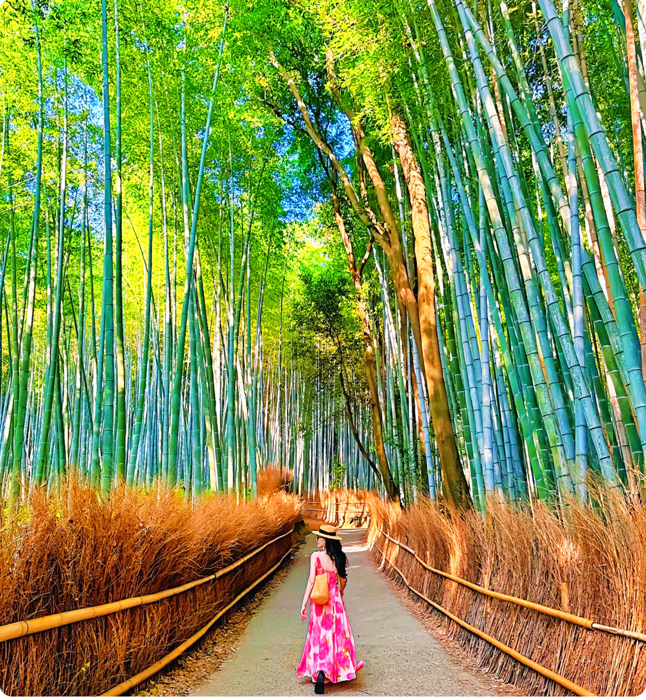 嵐山竹林小徑幽靜蜿蜒，翠竹環繞，帶來身心寧靜的獨特漫步體驗。