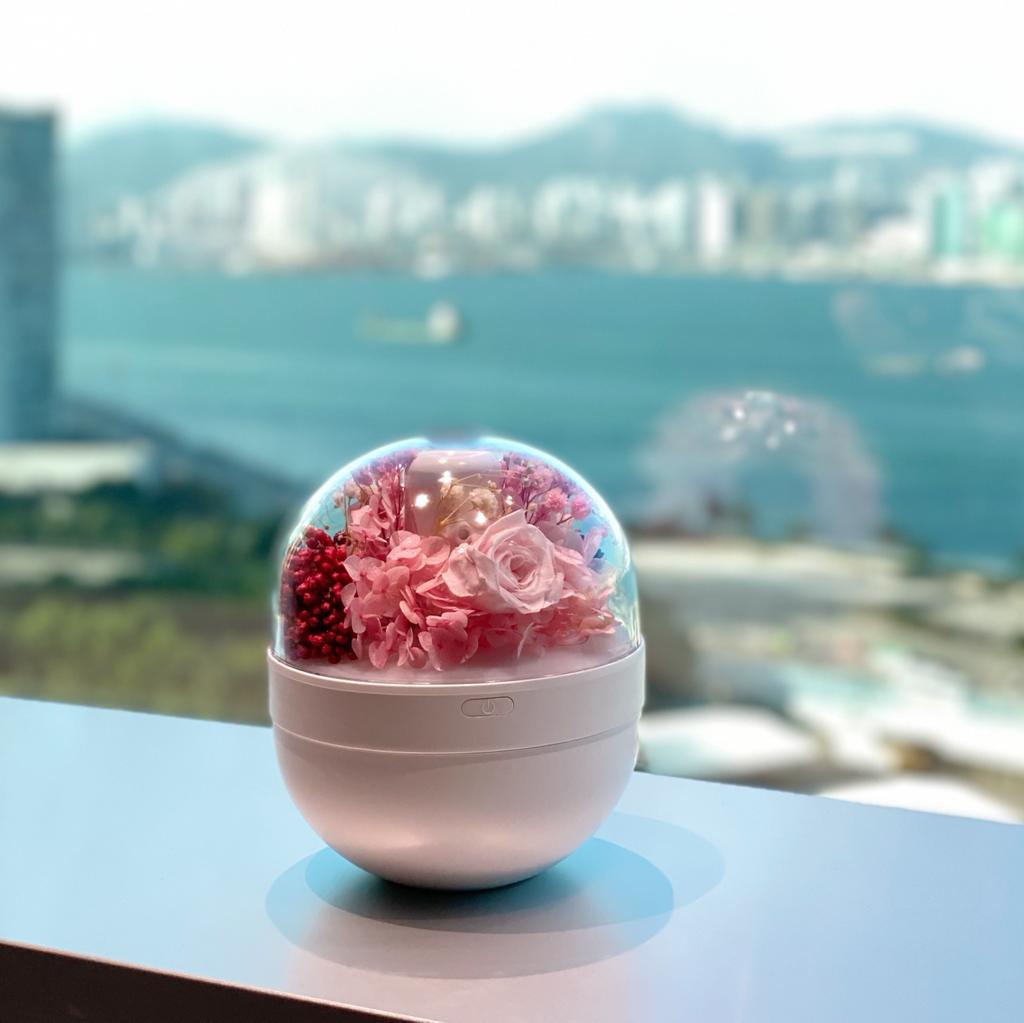 Aura-Art Dried Floral Diffuser