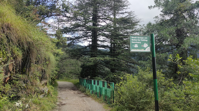 探索動植物：在西姆拉野生動物保護區參加導覽徒步之旅
