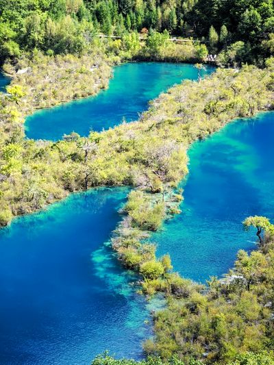 【樹正海】19面梯田海子跌落成翡翠階梯，鈣華瀑布串起藏式磨房與五色經幡。水在樹間淌，樹在水中生，一步一池，一池一色。晨霧升起，整個山谷變成會呼吸的童話，鏡頭360°無死角，隨手定格九寨縮影。