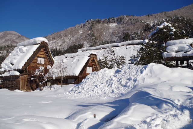 白川鄉 & 高山巴士之旅