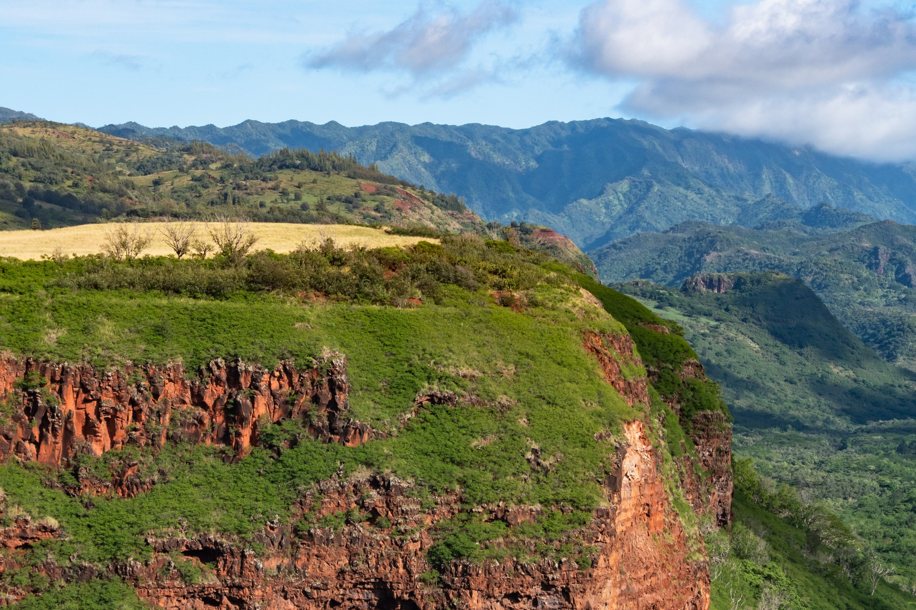 Drive along Kauai’s historic highway, showcasing the island's most iconic sights