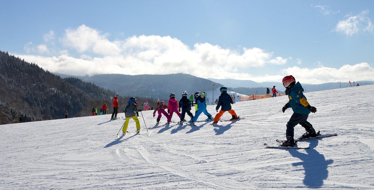 Elysian Ski Resort Day Tour from Seoul