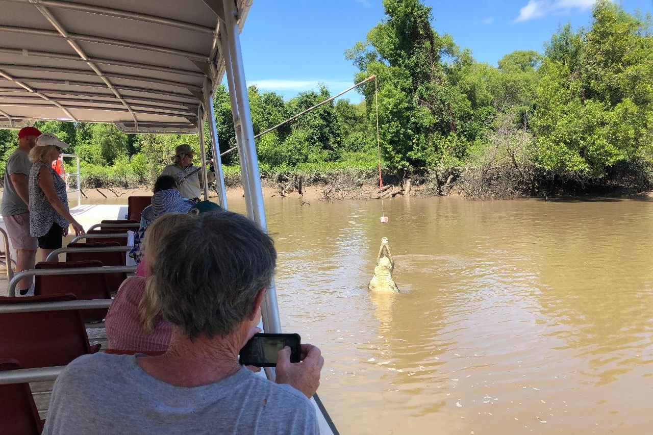 Jumping Crocodile Adventure Cruise with Lunch